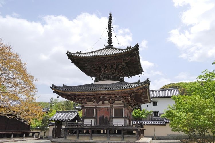วัดโฮโดจิ (Hodo-ji) 2