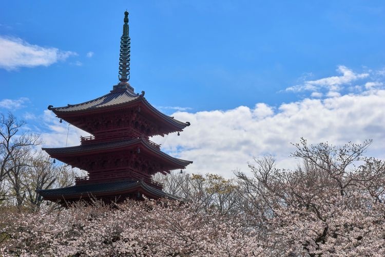 法华经寺 (正中山法华经寺) 3