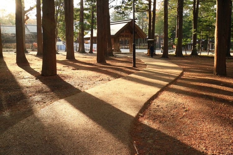 Hokkaido Jingu 4