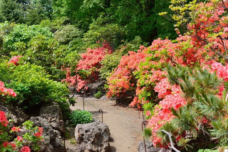 北海道大学植物园