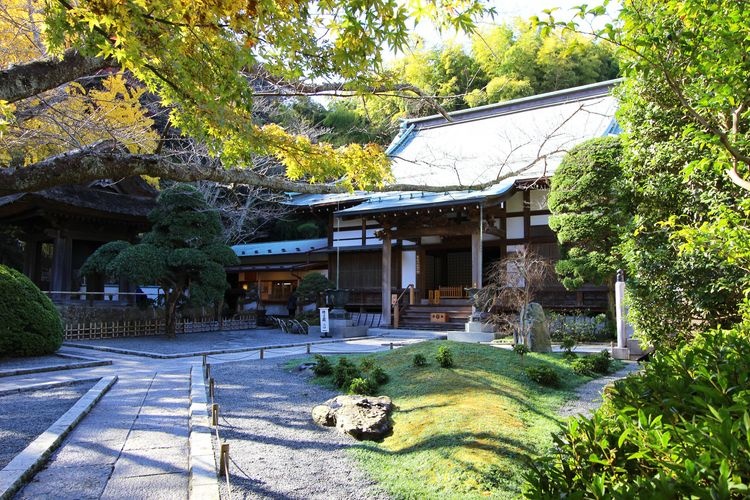 Hokoku-ji Temple 2