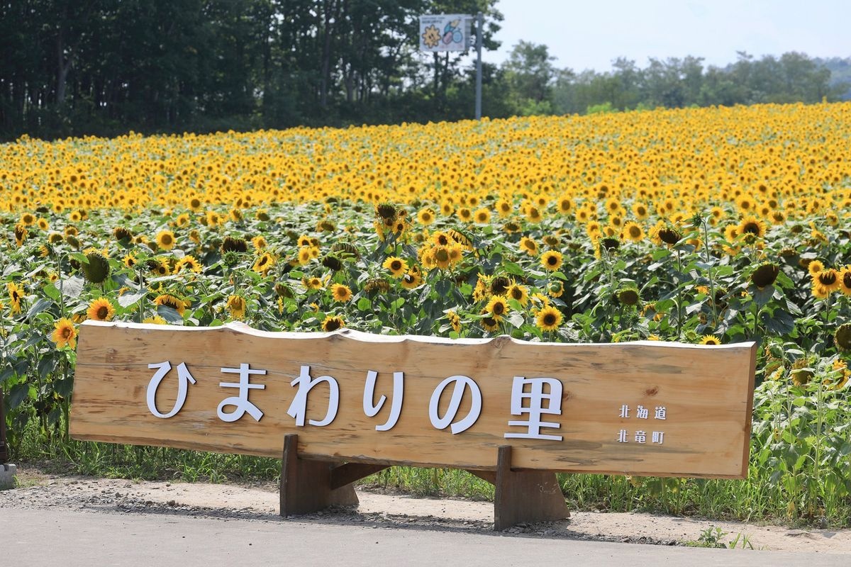 Hokuryu Town Himawari no Sato