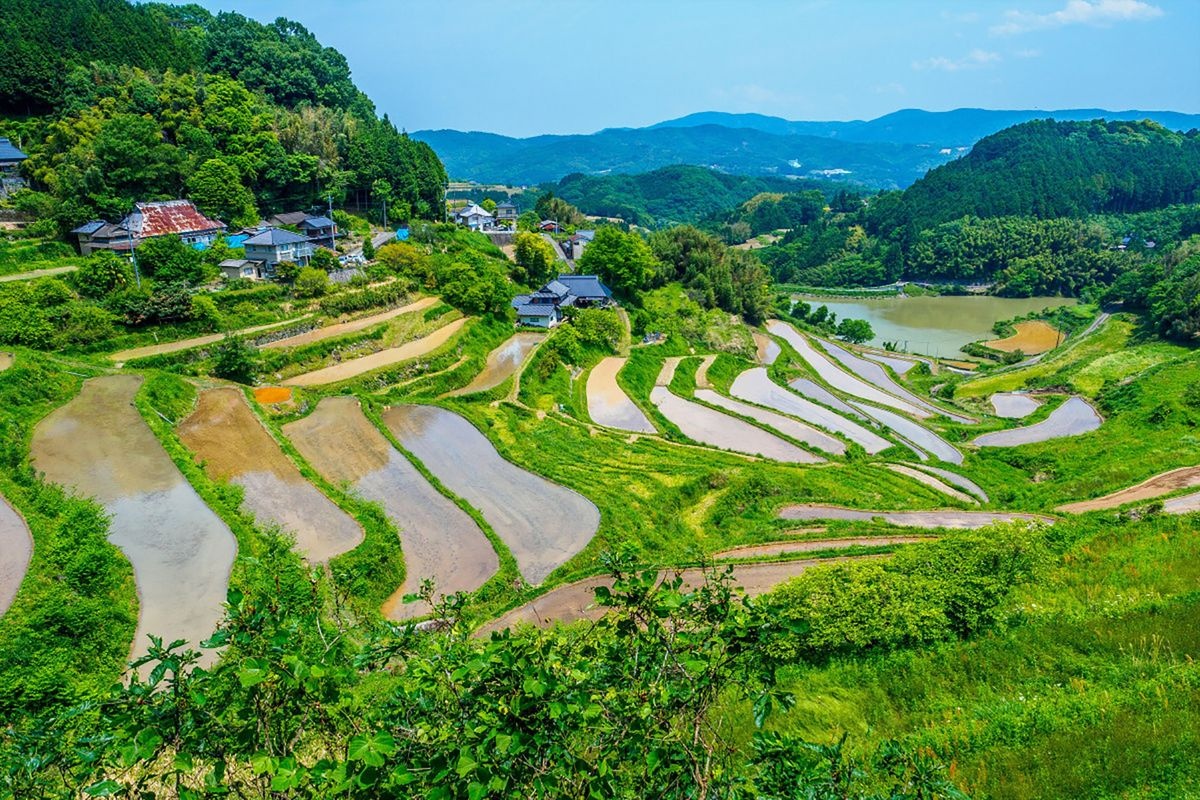 Sho-no-Tanada Rice Terraces