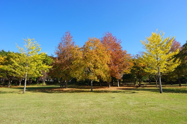 北總花之丘公園