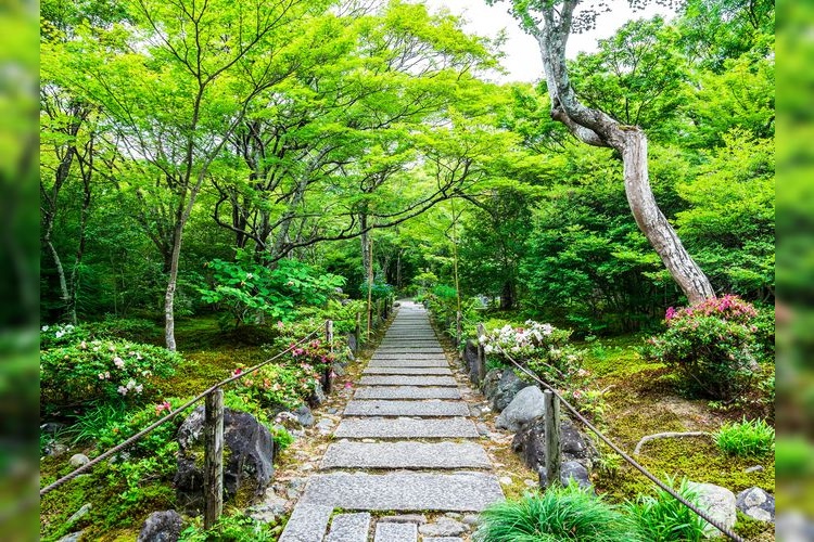Hōkyō-in 2
