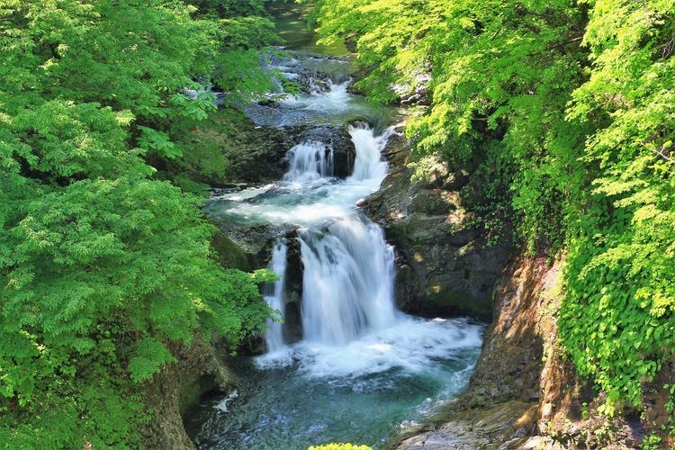 鳳鳴四十八滝 3