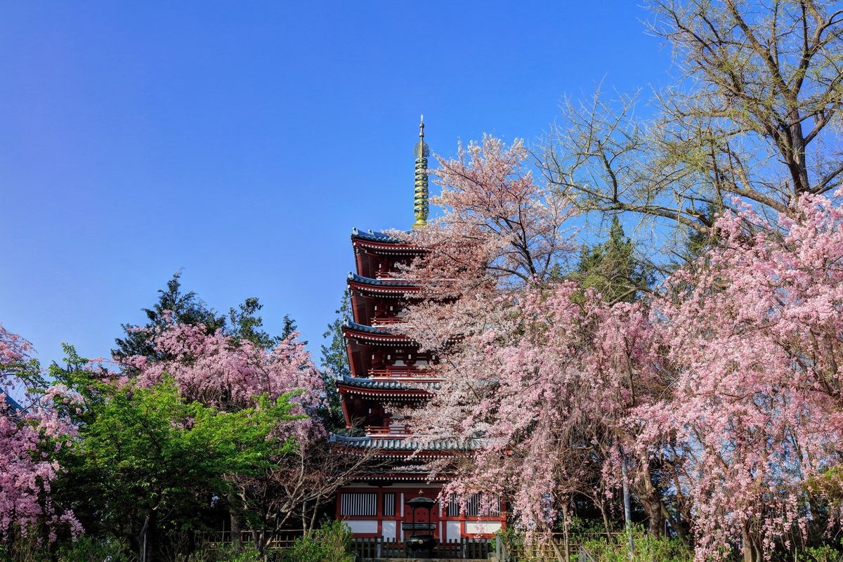 本土寺 (Hondo-ji)