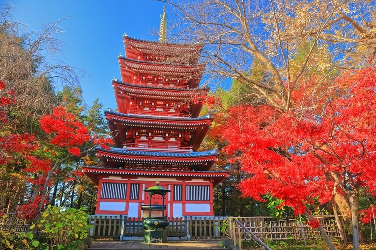 本土寺 (Hondo-ji) 4