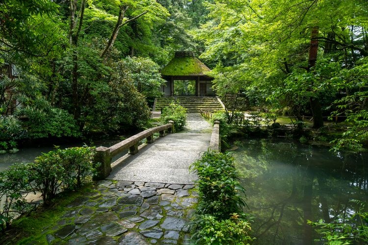 Honen-in 2