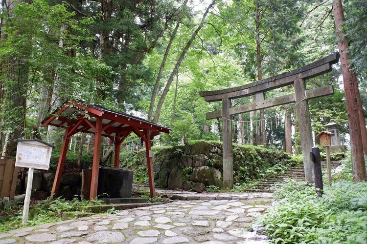 Futarasan Jinja (Nikko)