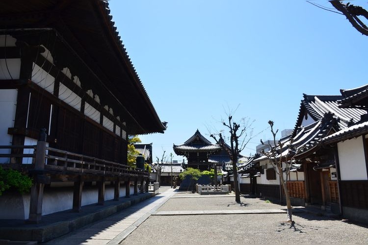 Honko-ji Temple 2