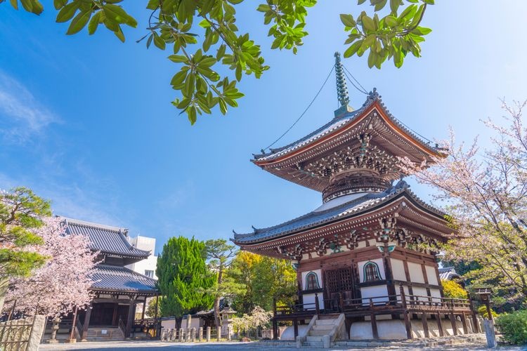 Honpo-ji Temple 3