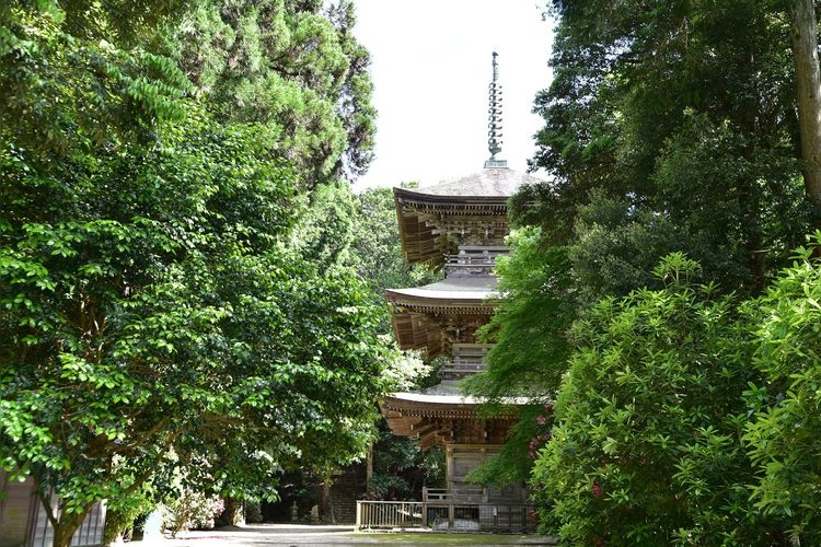 วัดฮอนซันจิ (Honzan-ji Temple) 3