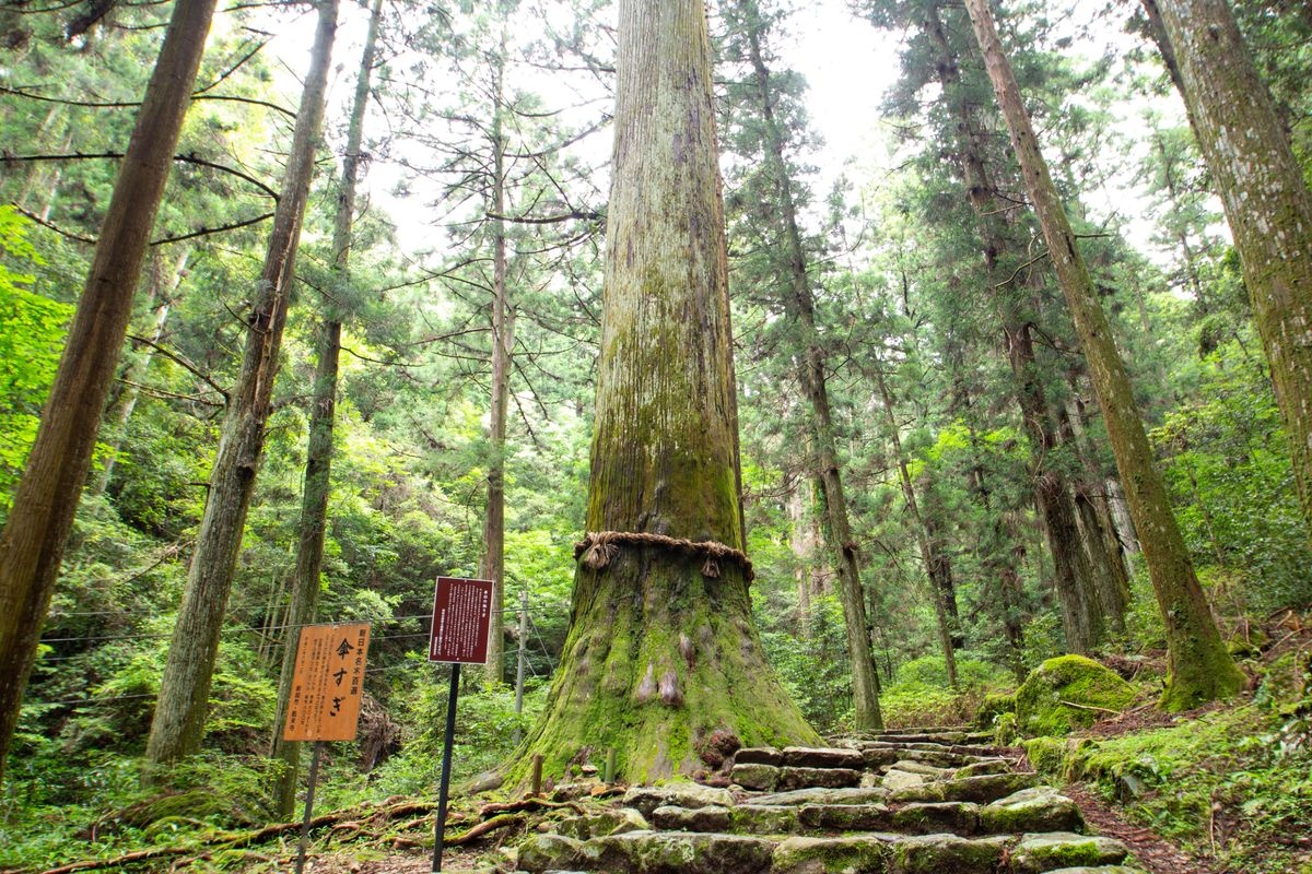 Gunung Horaiji