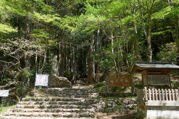Gunung Horaiji