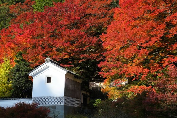 堀庭園(旧堀氏庭園)