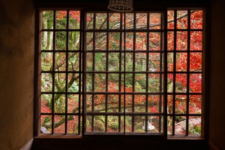 堀庭園(旧堀氏庭園) 4