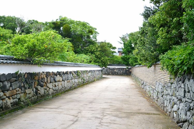 Horiuchi Kaimagari