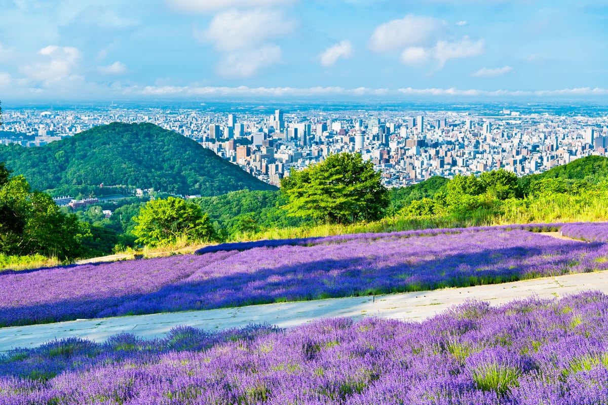 호라미 고개(幌見峠)