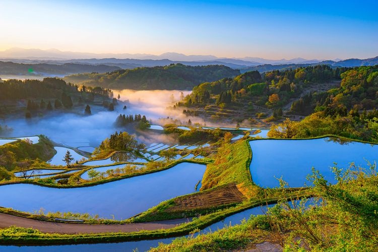星峠棚田 4