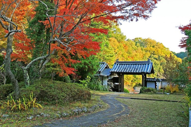 芳徳寺