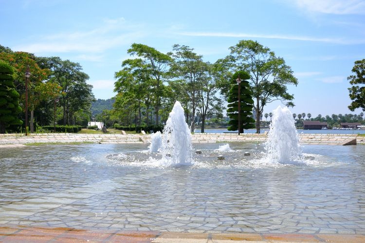 Parque Costero Ako Higashiyama (Hyogo Prefectural Ako Seaside Park) 3