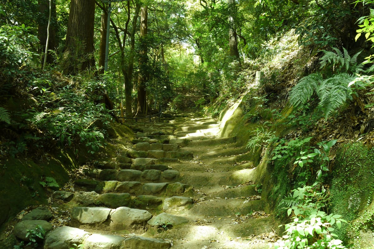 日向薬師（日向山 宝城坊）