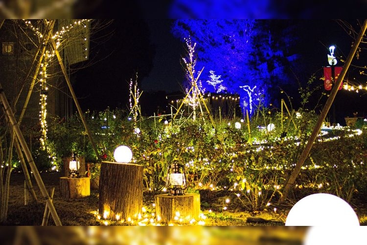 Ibaraki Flower Park 2