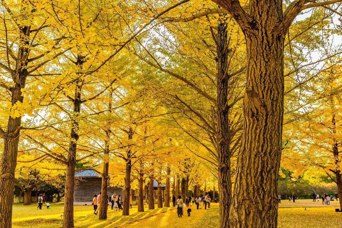 Ibaraki Prefectural Museum of History
