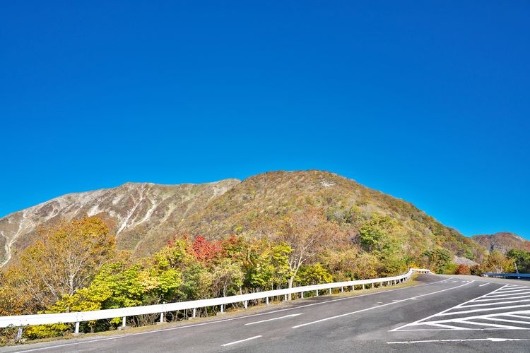 Ibuki Yam Driveway 3