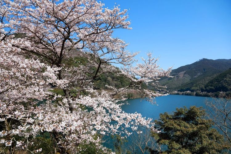ทะเลสาบเขื่อนอิตสึโบชิ (Itsuboshi Dam Lake) 2