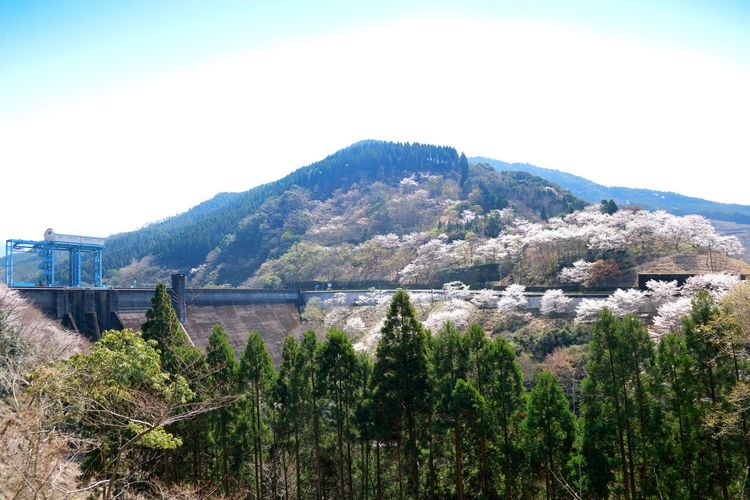 ทะเลสาบเขื่อนอิตสึโบชิ (Itsuboshi Dam Lake) 3