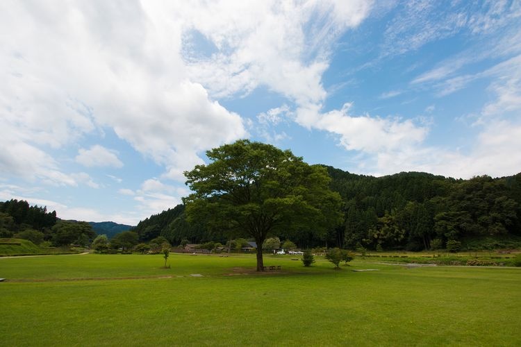 โบราณสถานอิจิโจยะ อาสาคุระ (Ichijodani Asakura Clan Ruins) 7