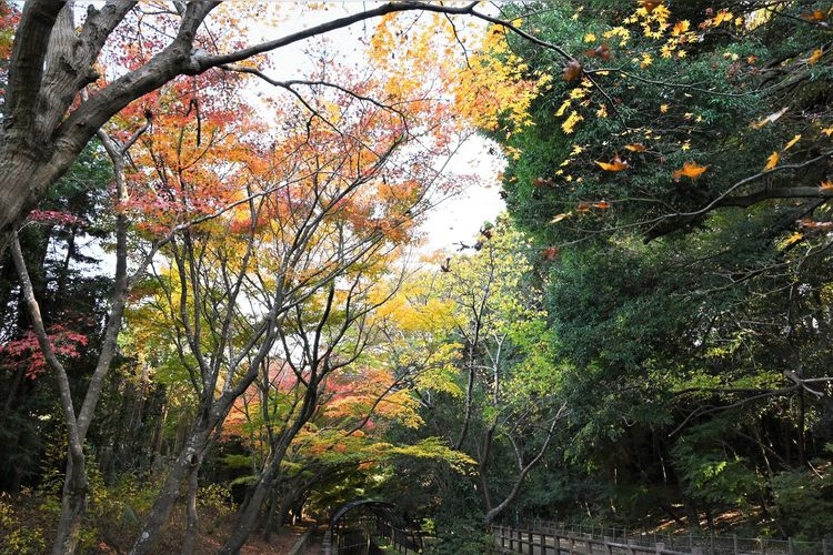 市川市動植物園 2