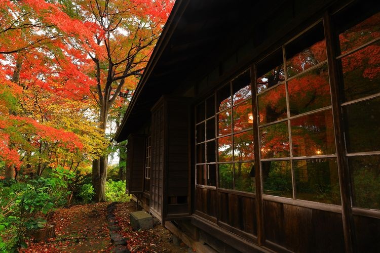 一ノ倉邸 (Ichinokura Tei)