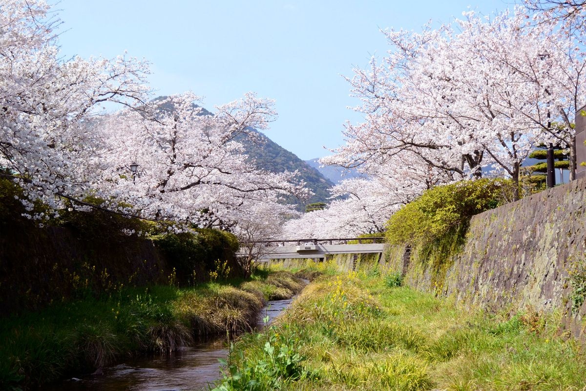 이노사카가와 (Ichinosaka River)