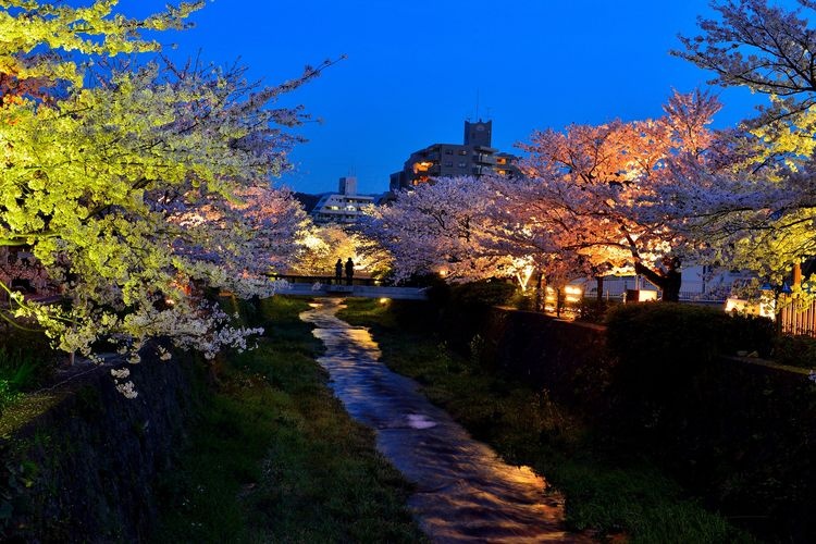 이노사카가와 (Ichinosaka River)
