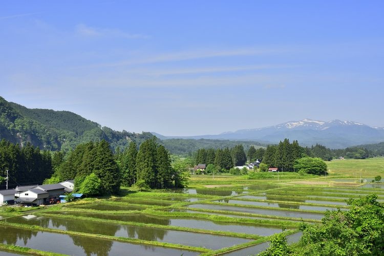 一关本寺农村景观
