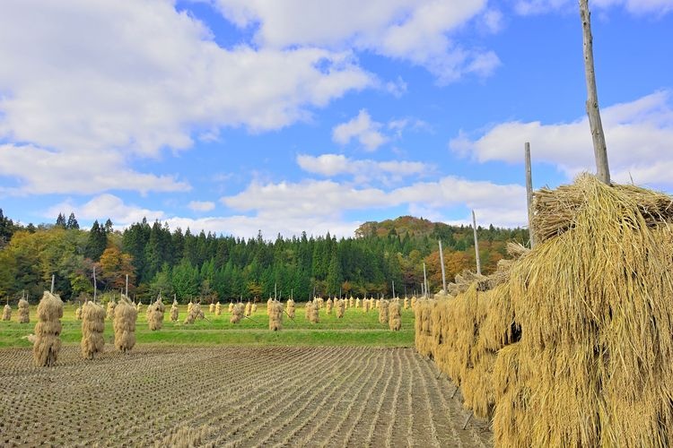 一关本寺农村景观 2