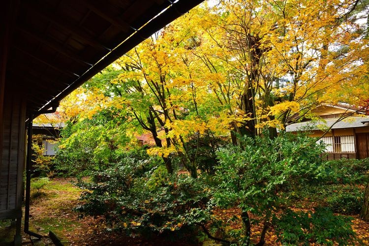 Ichishima-tei Villa 2