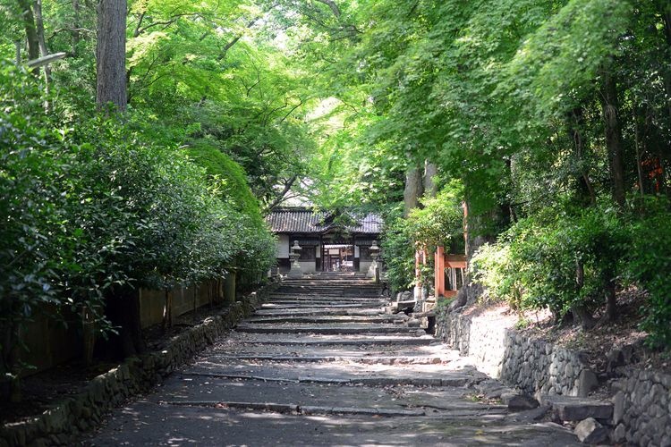 伊居太神社 2