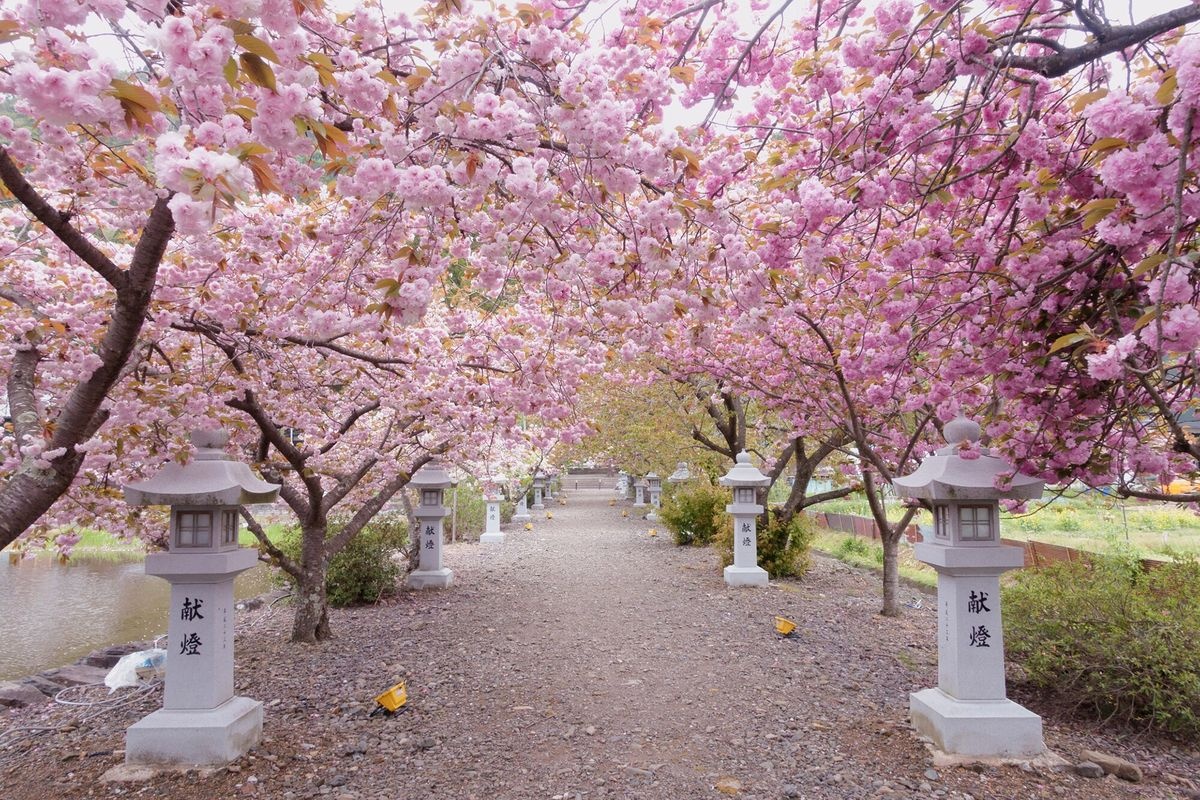 伊香具神社 (Ikagu Jinja)