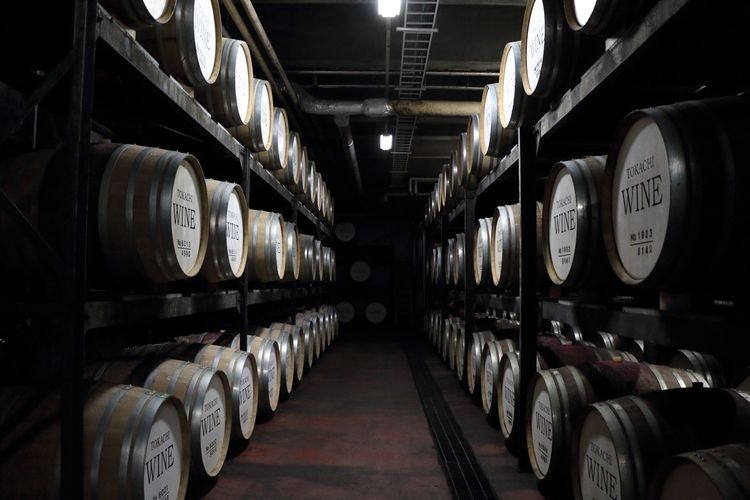 Ikeda Wine Castle (Ikeda Town Grape & Wine Research Institute) 2