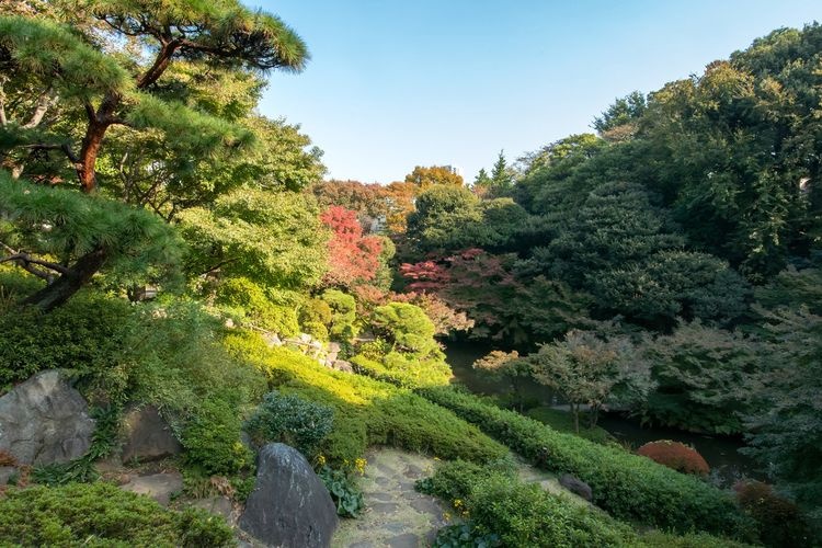池田山公園
