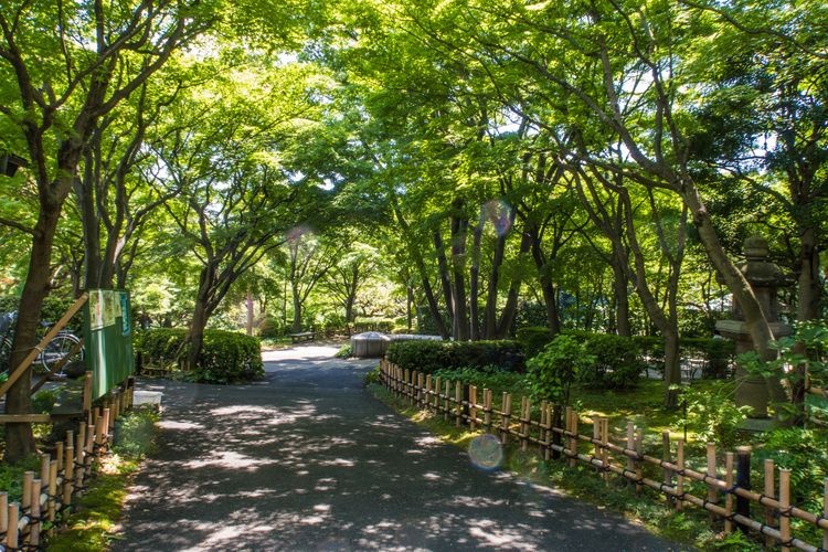 池田山公園 3