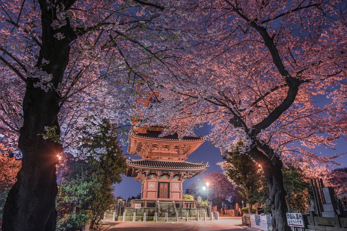 이카가 혼몬지 (池上本門寺)