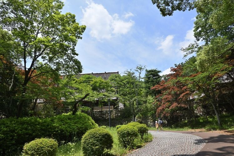 Ikuta Ryokuchi