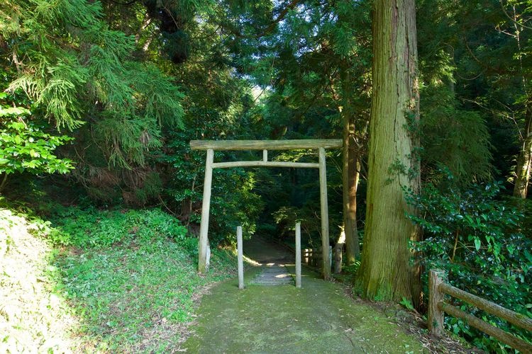Imataki 2
