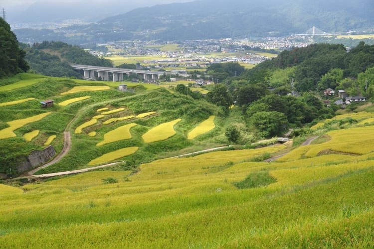 Inakura no Tanada (Inakura Rice Terraces)