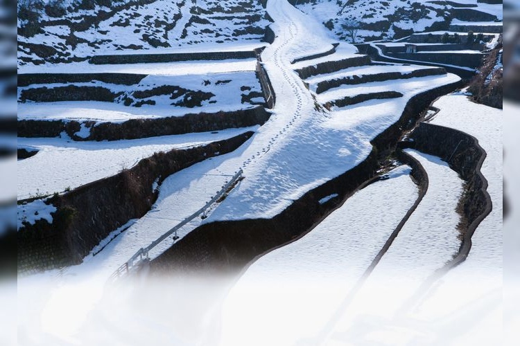 Ino no Tanada (Ino Terraced Rice Fields)